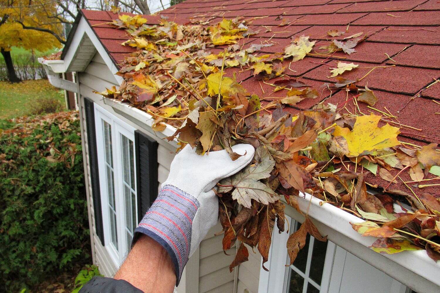 Residential gutter cleaning of leaves and debris from fall season