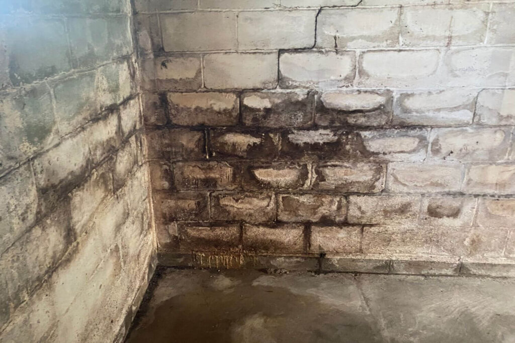 basement walls showing signs of leaking and mold damage