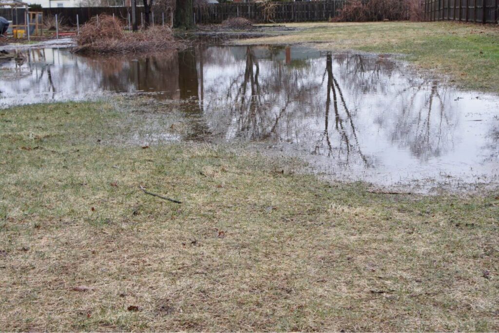 Front yard of a rural home with flooding in the front yard due to poor drainage on the property