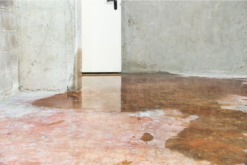 Water puddled on a basement floor