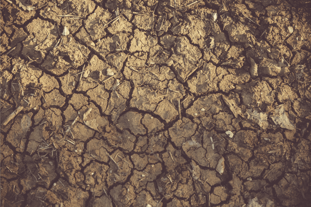 soil with gaps and pockets due to ground shrinkage