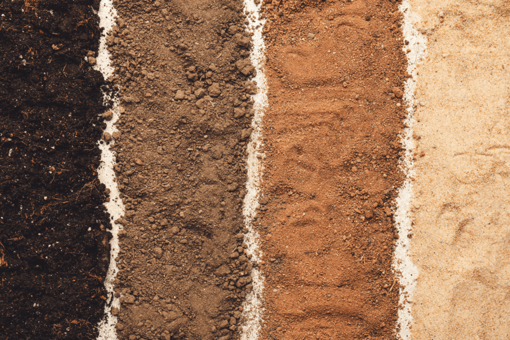 various types of soil samples lined up next to each other