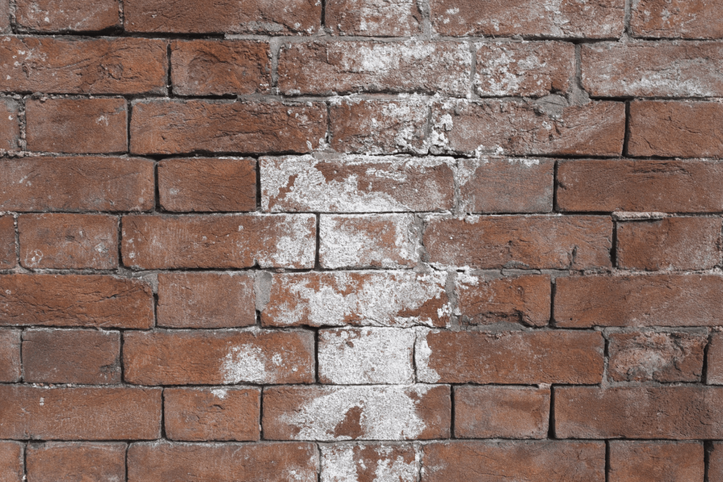 efflorescent powder on a brick wall of a house