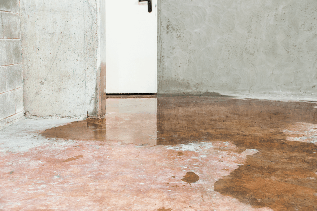 water damage in a basement after snow and ice melt in the winter
