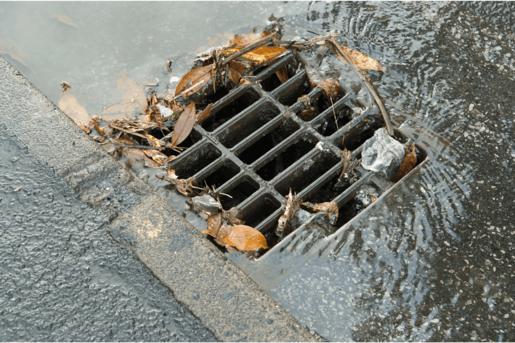 A storm drain grate partially clogged by leaves, with water steaming into it