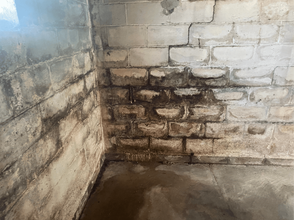 cracks and mold growth on basement walls in an older Pennsylvania home
