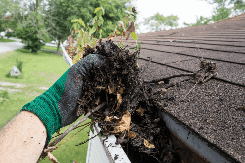 Hand wearing a green glove holding leaves and debris blocking storm gutters