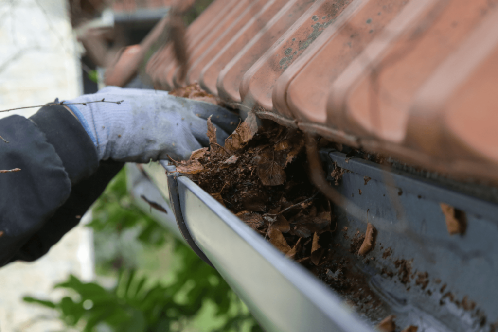 Hand with glove clearing leaves out of a residential gutter