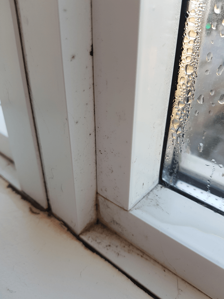 condensation and mold showing on an indoor residential window
