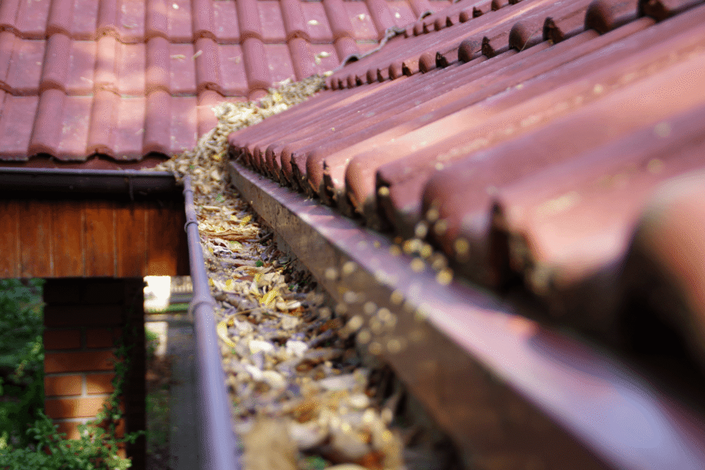 leaves and debris clogging residential gutters